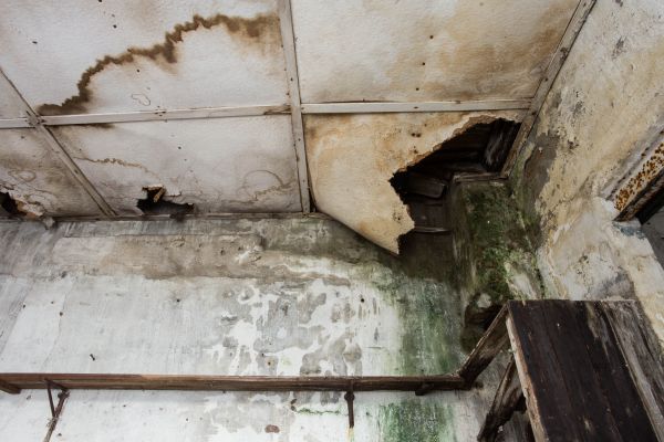 Water Damage Service in Millsboro