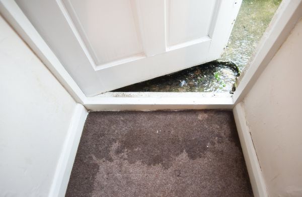 Wet Carpet Restoration in Millsboro