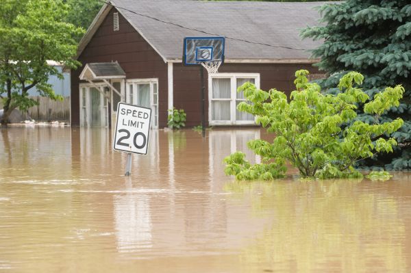 Storm Restoration Service in Millsboro