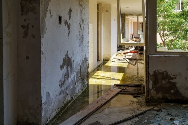 Water Removal Service in Millsboro