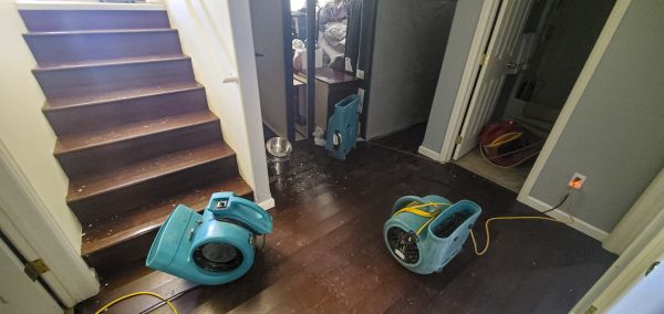 Water Damage Remediation in Millsboro