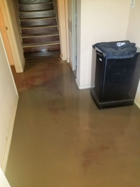 Emergency Water Removal in Millsboro