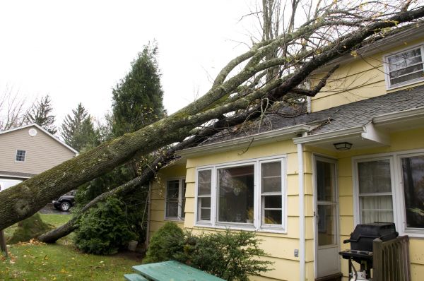 Hurricane Damage Repair in Millsboro